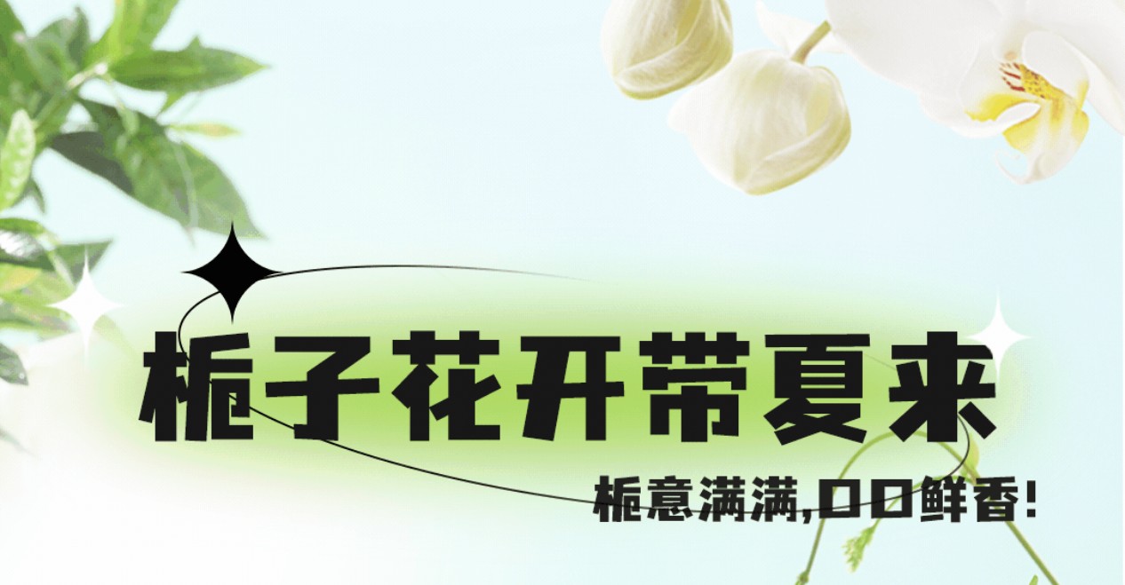 栀子花茶7月新上市，栀意满满，带你入夏！